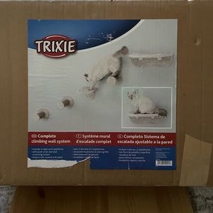 Cat climbing shelves